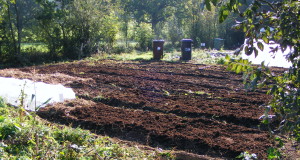 field scale raised beds for drainage with an annual application of compost/fertilizer